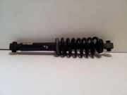 Stoßdämpfer hinten links CITROËN C5 II Break (RE_) 1.6 HDi (RE8HZB) 9840521980