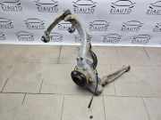 Radnaben vorne links BMW X6 (E71, E72) xDrive 50 i 6773783 31216773783