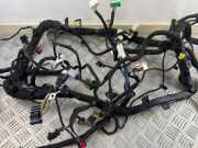 Kabelbaum Ford EcoSport () A12734162