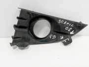 Gitter vorne unten RENAULT SCÉNIC II (JM0/1_) 1.5 dCi (JM02, JM13) P0009765