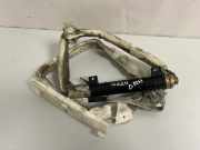 Dach SRS rechts MERCEDES-BENZ S (W220) S 500 (220.075, 220.175, 220.875) 2208600605