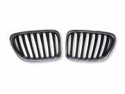Vorderer oberer Gitter BMW X1 (E84) xDrive 18 d 51112993308