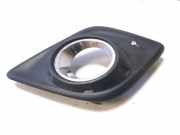 Blende Nebelscheinwerfer Toyota Hilux VIII Pick-up (N1) 520300K020521270K180
