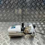 Kraftstoffpumpe Hyundai Santa Fe II (CM) 311102P900