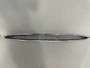 Dachreling links BMW 5er Touring (F11) 8049128