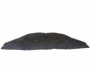 Schallschutz MERCEDES-BENZ R (W251, V251) R 320 CDI 4-matic (251.022, 251.122) A2516820026