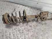 Stoßdämpfer hinten rechts NISSAN X-TRAIL (T31) 2.0 dCi FWD