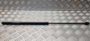 Gasfeder für Motorhaube Opel Vectra C Caravan (Z02) GS0341