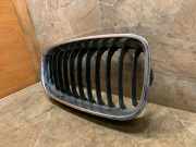 Vorderer oberer Gitter BMW 3 Gran Turismo (F34) 320 d 7294804