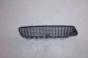 Ziergitter Opel Vectra C (Z02) 1300588