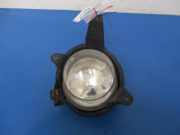 Nebelscheinwerfer links vorne Kia Carnival II (UP)