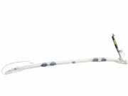 Airbag Dach links Ford Focus C-Max (C214) 3M51R14K158AH