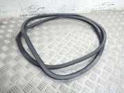 Türdichtung Porsche Cayenne 1 (9PA) 7L0867367A