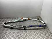 SRS Modul Dach links AUDI A4 (8W2, B9) 2.0 TDI 8W5880741F