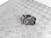 Andere Aufbauteile CITROËN C4 Grand Picasso I (UA_) 2.0 HDi 138