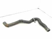 Schlauch Kühlung RENAULT LAGUNA III (BT0/1) 2.0 dCi (BT08, BT0K, BT0J, BT14, BT1A, BT1D)