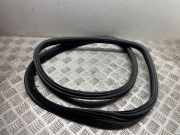 Türdichtung BMW 4er Coupe (F32, F82) 7401893