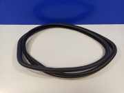 Türgummi rechts vorne Volvo S80 II (124) 31278771