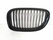 Vorderer oberer Gitter BMW 7 (F01, F02) 750 i 7211657