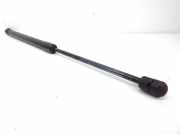 Heckklappe Gasdruckfeder links OPEL ASTRA G Hatchback (F48_, F08_) 1.7 DTI 16V 44638E+11