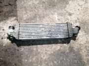 Ladeluftkühler NISSAN PRIMERA Hatchback (P12) 2.2 dCi 14461AW300