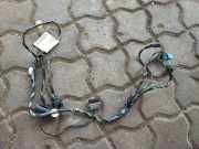 Kabel der vorderen linken Tür MERCEDES-BENZ A (W169) A 160 CDI (169.006, 169.306) A1695407505