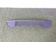 Kühlergrill unten Ford Fiesta V (JH, JD) 6S61A018A58