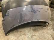 Motorhaube RENAULT GRAND SCÉNIC II (JM0/1_) 1.5 dCi (JM02, JM13)