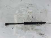 Gasfeder für Motorhaube BMW 3er Cabriolet (E46)