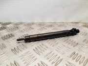Einspritzdüse FORD S-MAX (WA6) 2.0 TDCi EMBR00101D 9686191080