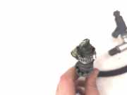 Einspritzleiste Audi A4 (8E, B7) 06B133317N