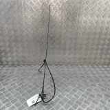 Antenne Dach Chevrolet Trailblazer (KC) 15087886