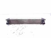Ladeluftkühler Opel Movano Kipper (X70) 874806M