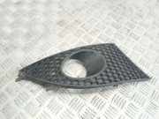 Kühlergrill unten Seat Altea (5P)