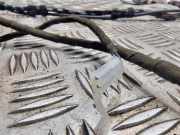 Kabelbaum Opel Astra J GTC () 0220150423205105