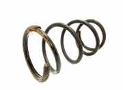 Fahrwerksfeder vorne rechts