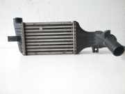 Ladeluftkühler Opel Zafira A (T98) 24436438