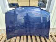 Motorhaube VW Bora Variant (1J)