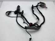 Kabel der vorderen linken Tür VOLVO S60 III (224) 2.0 T6 30644906