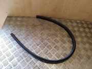 Türgummi rechts vorne Fiat Ducato Pritsche (290)