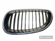 Vorderer oberer Gitter BMW 5 (E60) 530 d