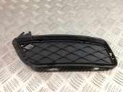 Kühlergrill unten BMW X3 (F25) 7210469