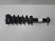 Stoßdämpfer hinten links