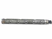 KRAFTSTOFFVERTEILER EINSPRITZLEISTE VERTEILERROHR NISSAN X-TRAIL (T31) 2.0 FWD 8200661279A