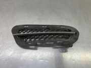 Gitter vorne unten BMW Z4 Roadster (E89) sDrive 35 i 7203798