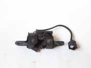 Motorhaubenschloss RENAULT MEGANE III Grandtour (KZ0/1) 1.5 dCi (KZ0C, KZ1A) 656010010R