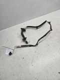 Türverkabelung hinten links RENAULT SCÉNIC I (JA0/1_) 1.9 dTi (JA1U) 7700287799