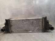 Ladeluftkühler Mercedes-Benz R-Klasse (W251) 2515000000