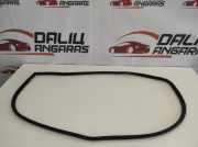 Türdichtungsgummi hinten rechts TOYOTA RAV 4 V (XA50) AWD Hybrid LE+ 2.5 35270437 2104TGU35270437