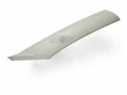 Zierleiste Skoda Fabia II Kombi (545) 5J0867234